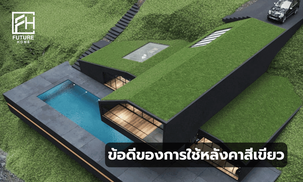 กรีนรูฟ ภาพหลังคาสีเขียวที่ติดตั้งบนบ้าน ช่วยลดความร้อนและสร้างพื้นที่สีเขียวบนหลังคา