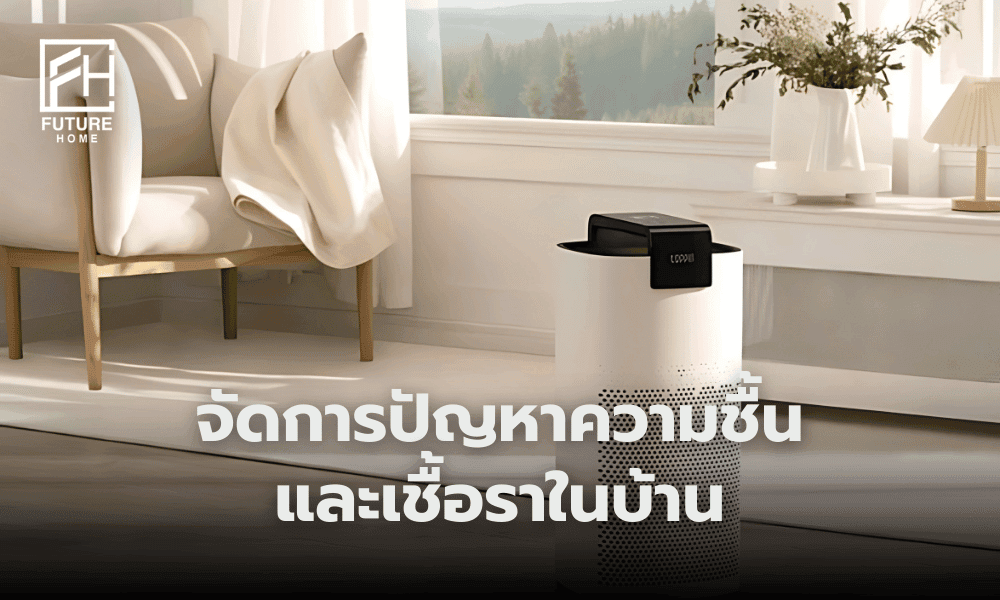 เกิดความชื้นและเชื้อราในบ้านทำยังไงดี