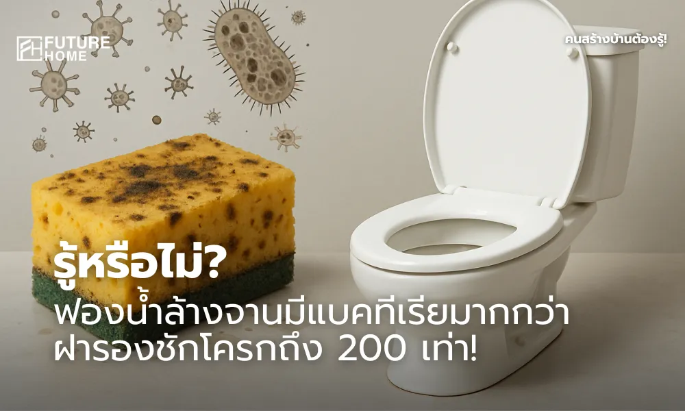 ภาพเปรียบเทียบฟองน้ำล้างจานที่เต็มไปด้วยเชื้อแบคทีเรีย กับฝารองชักโครกที่ดูสะอาดไร้เชื้อโรค จัดวางแบบอินโฟกราฟิกเพื่อเน้นความต่างของความสะอาดในบ้าน
