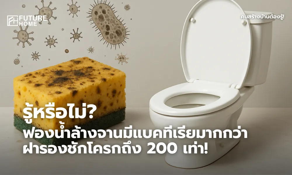ภาพเปรียบเทียบฟองน้ำล้างจานที่เต็มไปด้วยเชื้อแบคทีเรีย กับฝารองชักโครกที่ดูสะอาดไร้เชื้อโรค จัดวางแบบอินโฟกราฟิกเพื่อเน้นความต่างของความสะอาดในบ้าน
